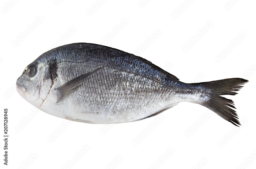 Fototapeta premium Fresh dorado isolated on a white background.