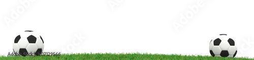 Two soccer ball on grass panorama  3d rendering