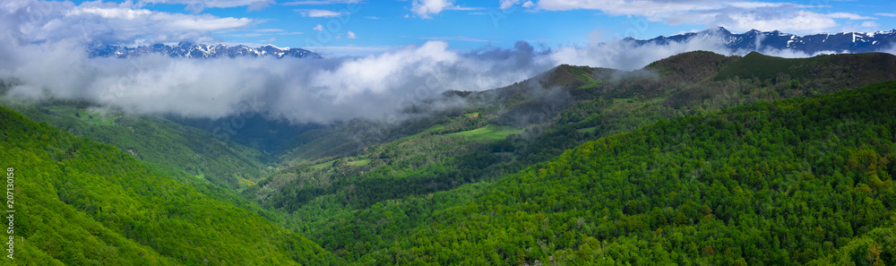Forest and mountains from Viewpoint of Piedrasluengas in the Natural Park of Fuentes Carrionas, province of Palencia