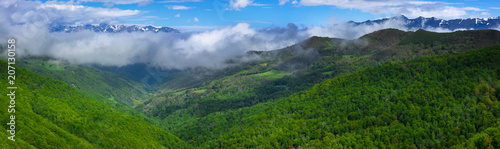 Forest and mountains from Viewpoint of Piedrasluengas in the Natural Park of Fuentes Carrionas, province of Palencia