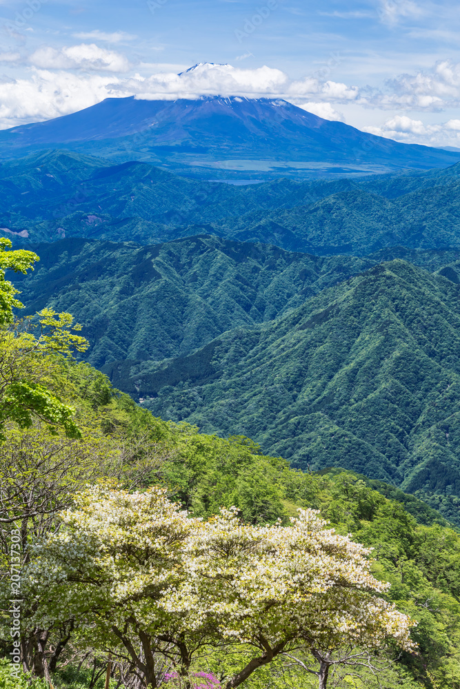 新緑の山