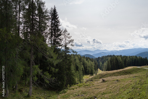 Wallpaper Mural Landscape of forest, mountains, in Filzmoos, Salzburg, Austria Torontodigital.ca