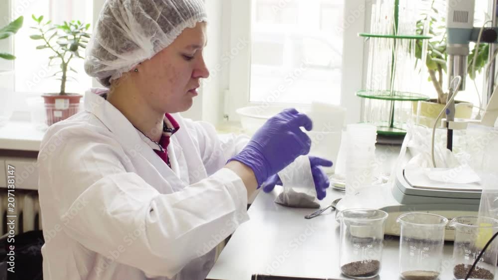 The scientist in laboratory weighing a sample of the soil on the electronic scales