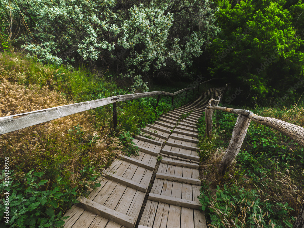 staircase leading to a fairy tale forest