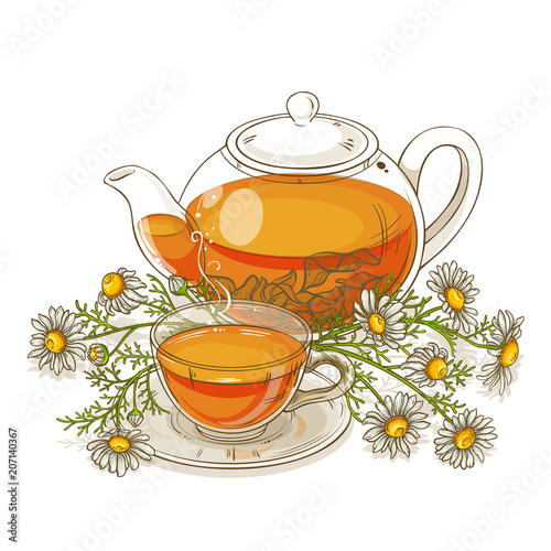 chamomile tea illustration