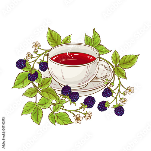 blackberry tea illustration