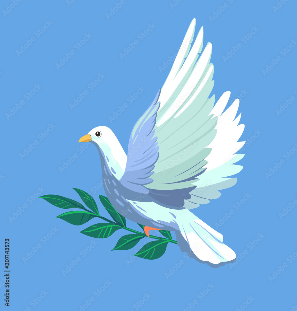 Fototapeta premium Dove with olive brunches