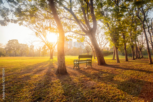 Morning beautiful park scene bench in public park with green grass field  Bankok  Thailand.