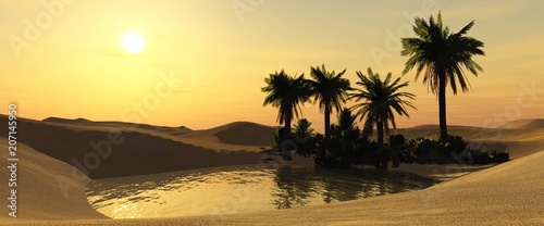 Oasis Desert landscape with a pond  palm trees