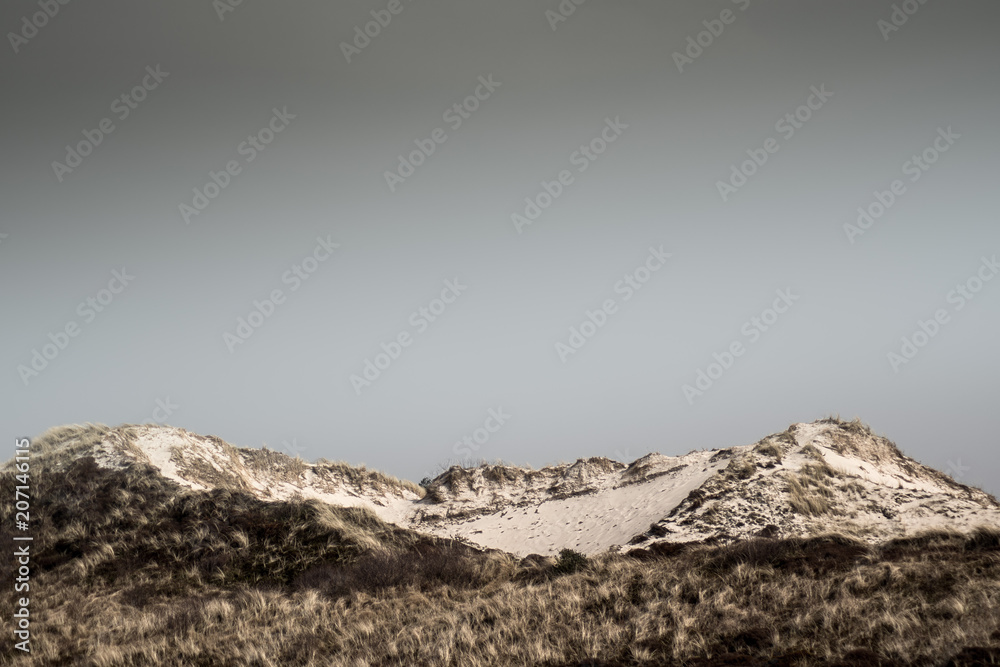 Sand Dune in Holland Sand Dune in Holland