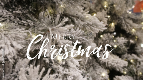 Christmas background wit fir tree and Merry Christams text photo