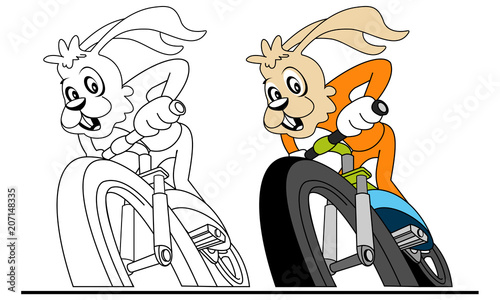 Funny fitness rabbit riding a bicycle