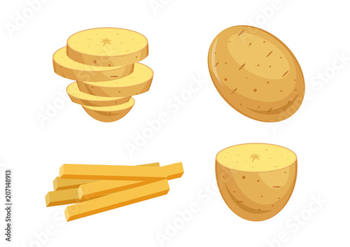 Vector illustration. Potato set.