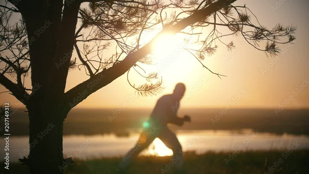 Coniferous tree in front of silhouette man performs capoeira on the hill at sunset