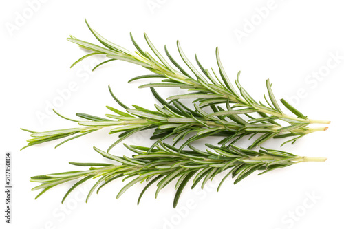 Rosemary spice on the white background. © gitusik