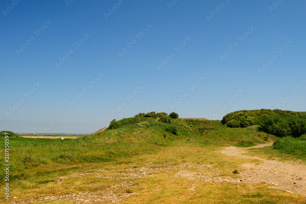 Dunes, sunny summer day. Countryside landscape