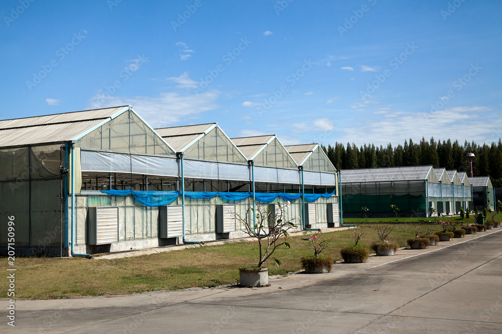 Greenhouse in sunlight with blue sky and clouds.