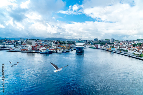 Photography city of stavanger from a cruiseship with seagull