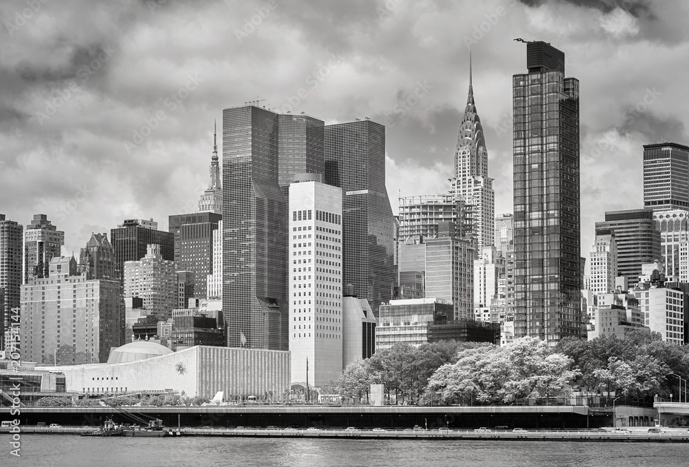Fototapeta premium New York City skyline, view from the Roosevelt Island, USA.