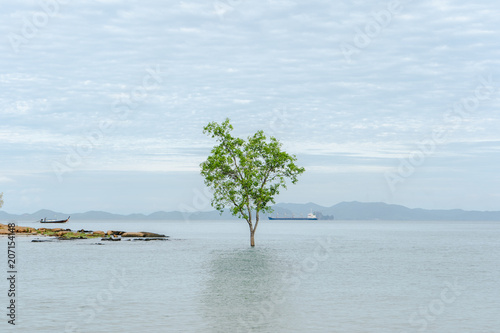 Alone tree in the midst of the sea. The sky is full of clouds in the rainy season. And sailors in the rear. © Phanuwat Y.