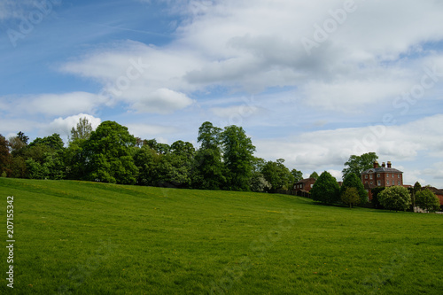 Meadow with green grass and trees in summer. Houses on background