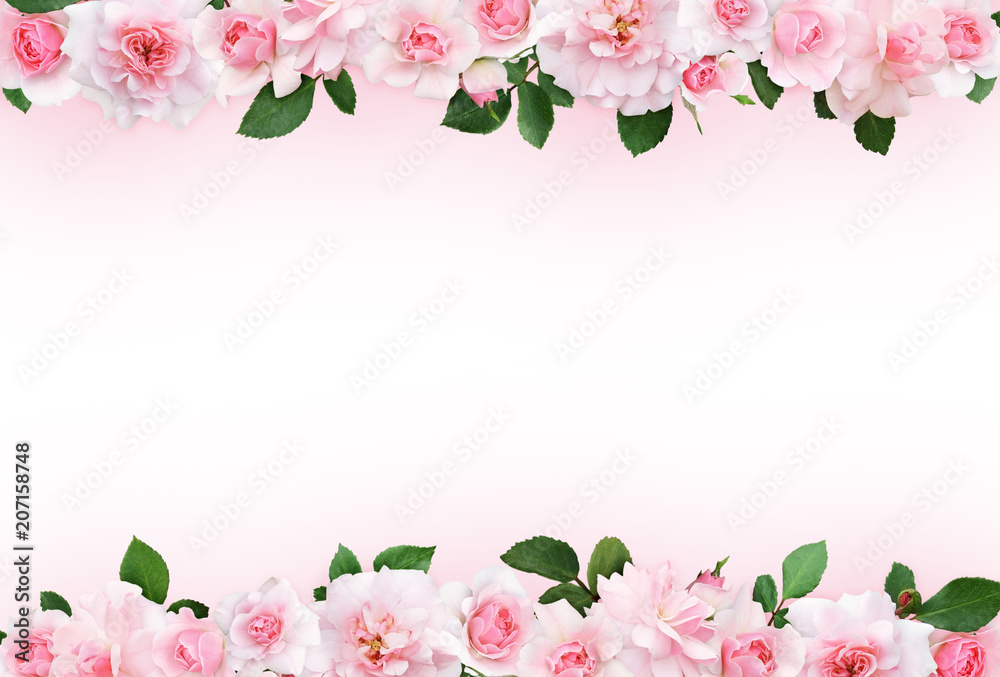 Naklejka premium Różowy tło z wzrastał kwiaty i liście