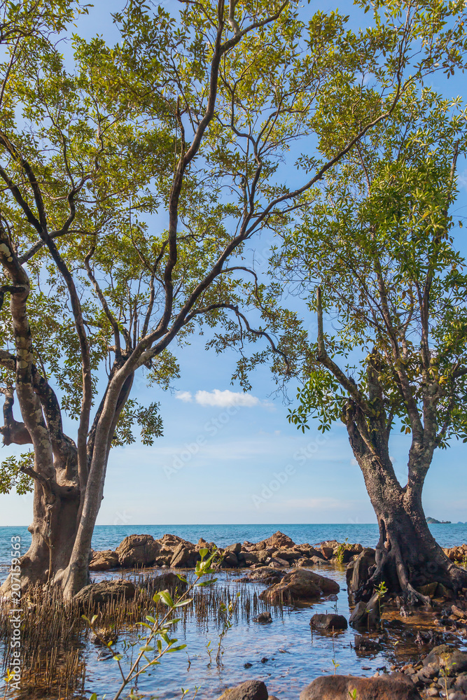 Tropical sea beach at Koh Change island, Thailand