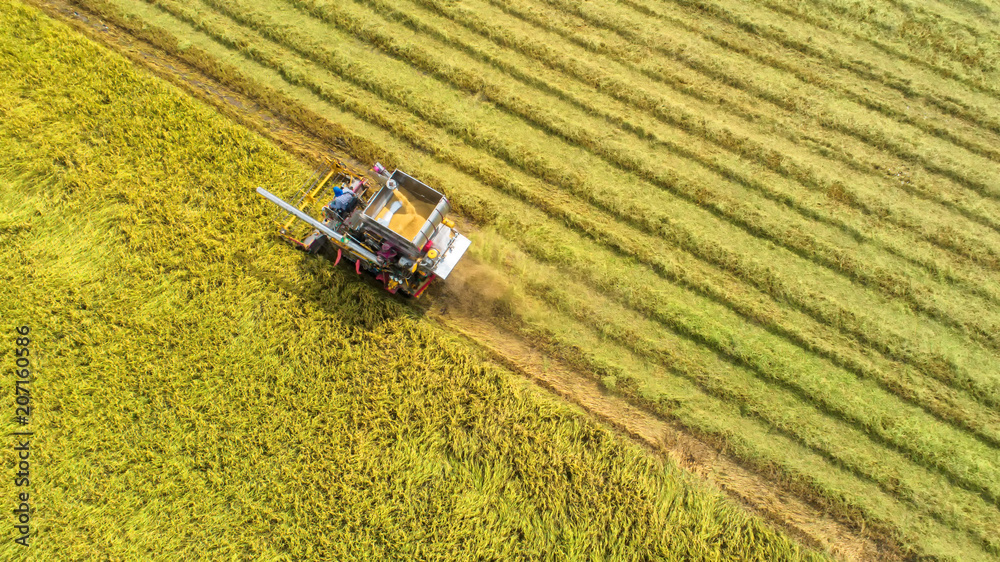 Combine harvester machine with rice farm.Aerial view and top view. Beautiful nature background. Combine harvester machine with rice farm.Aerial view and top view. Beautiful nature background.