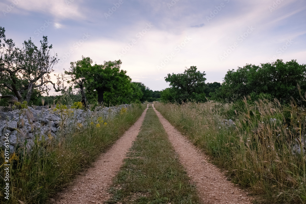 Sunset over country road bounded by drystone walls. Landscape of Murge. Apulia, Italy