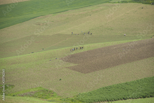 MEadows in Morocco