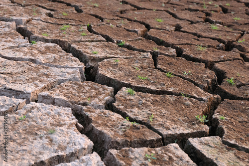 Dried and Cracked ground,arid soil close up