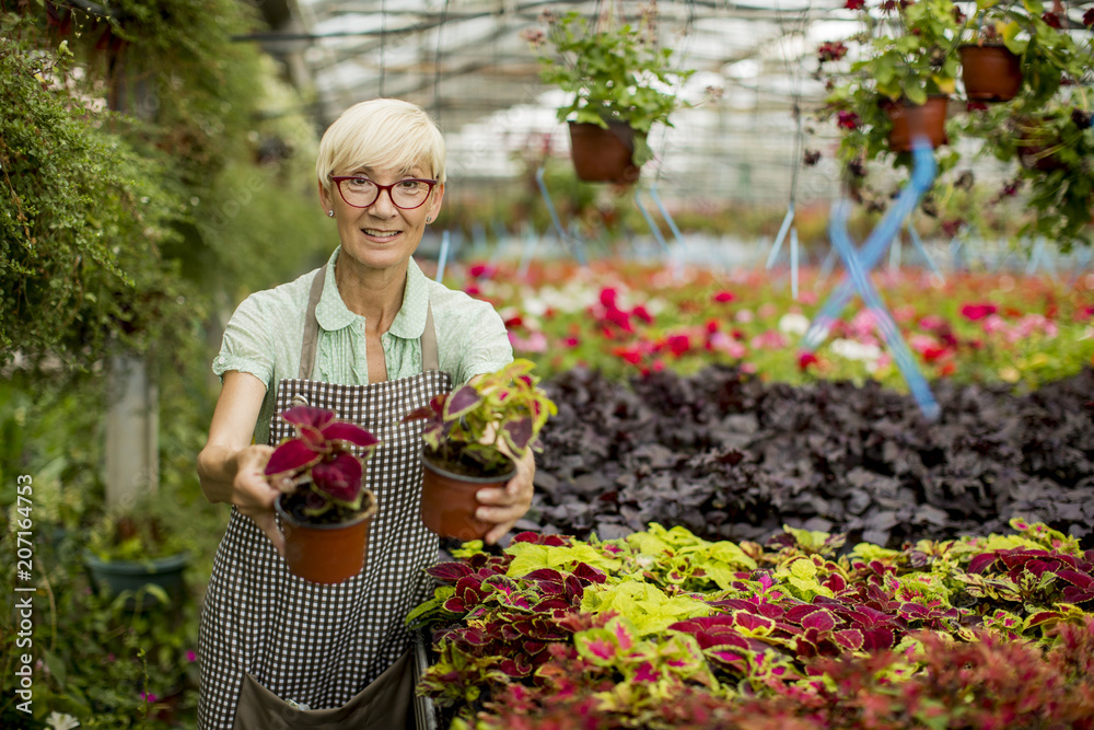 Senior woman working in flower garden Senior woman working in flower garden