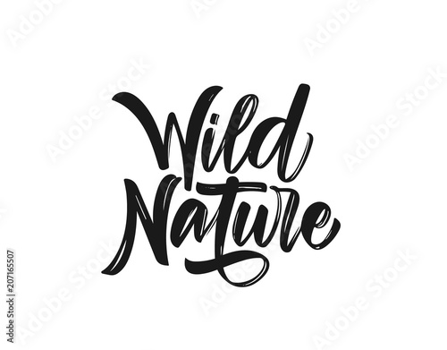 Vector illustration: Handwritten calligraphic brush type lettering composition of Wild Nature on white background
