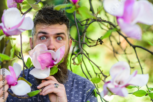 Hipster enjoys aroma of blossom. Bearded man with fresh haircut sniffs bloom of magnolia. Perfumer concept. Man with beard and mustache on excited face near magnolia flowers, background defocused.