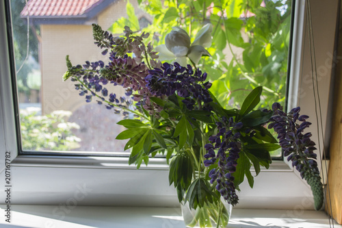 The vase with lupines on a window.