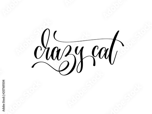 Wallpaper Mural crazy cat - hand lettering inscription text about animal