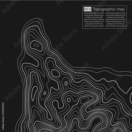 Topographic map. Topographical background. Linear graphics. Vector illustration.