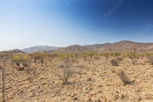Fototapeta Landscape of iona national park, angola. Africa