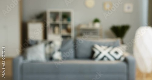 Blurred interior of the cozy living room of the modern designed flat: gray couch with pillows and cupboard with shelves behind. Indoors