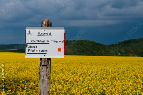 Kulturlandschaft Rapsfeld Lichtstimmung photo