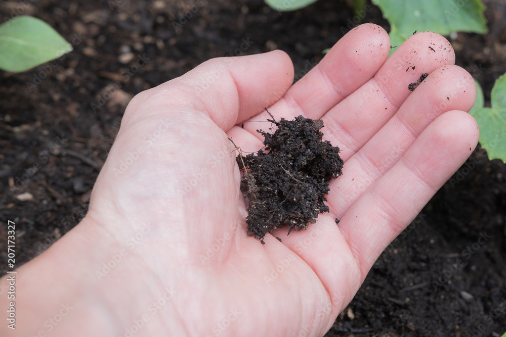 Erde in der Hand- Gartenarbeit Erde in der Hand- Gartenarbeit