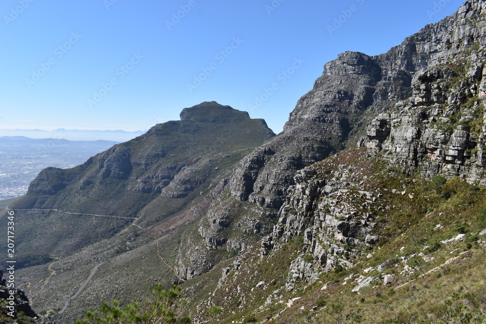 Wonderful nature on the plate clip hiking path on the Table Mountain in Cape Town, South Africa