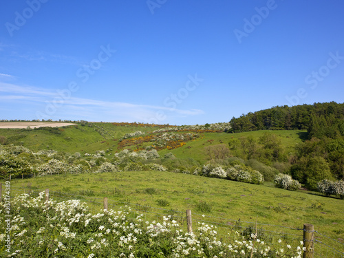 Millington Pastures photo