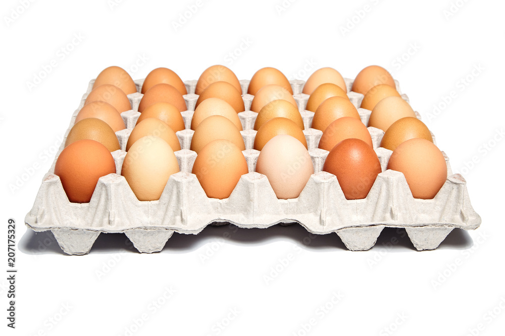 chicken eggs in the cardboard egg tray chicken eggs in the cardboard egg tray
