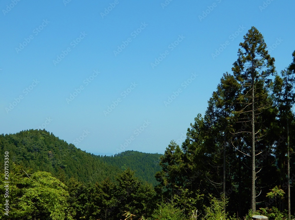 景色
山
陣馬山
空