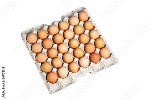 chicken eggs in the cardboard egg tray