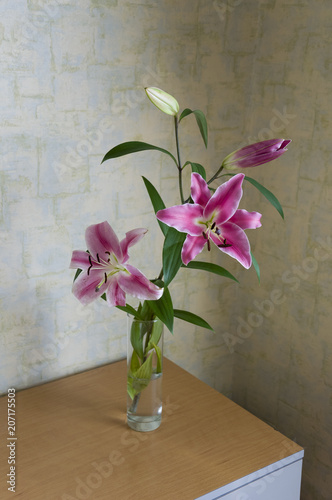 Fotografie Tender big pink flowers of lily is standing in the glasses vase on the table in