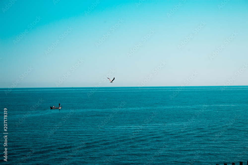 Ocean Ocean