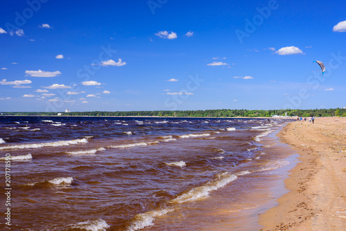 Fototapeta Naklejka Na Ścianę i Meble -  Baltic sea. Picturesque beach on the Gulf of Finland in summer, St. Petersburg, Russia