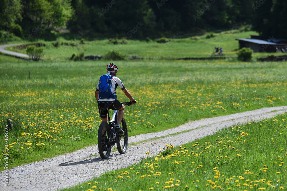 Obraz premium bici elettrica e-bike bike bicicletta elettrica mountain bike passeggiata gita sport